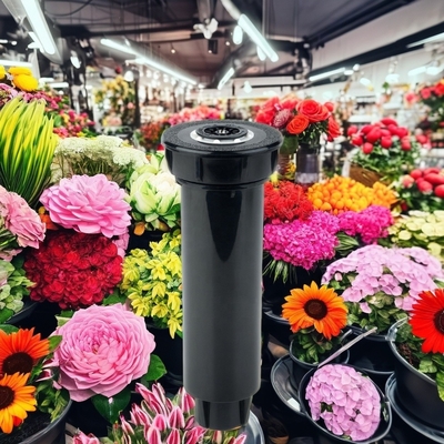 Révolutionnez votre jardinage avec la technique de l'ascenseur de dispersion et des séances de photos