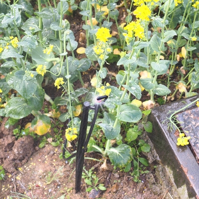 G Type 360 degrés Réglages d'irrigation agricoles Performance 1,8-2,6M Radius de pulvérisation
