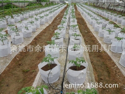 Les flèches à goutte personnalisables pour l'irrigation des fermes de pot Agriculture Irrigation personnalisation