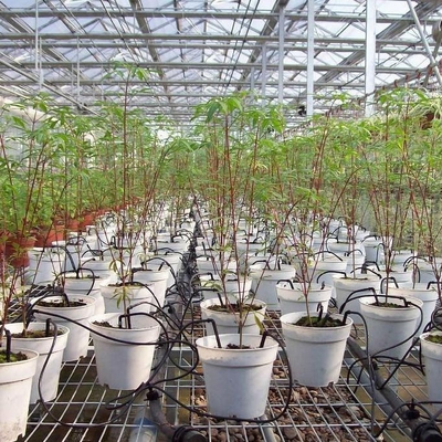 Irrigation de pot L'élevage des flèches avec des matériaux plastiques d'ingénierie durables