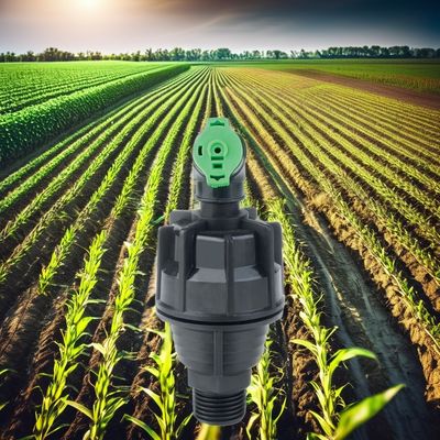 Des appareils de traitement des eaux usées pour les jardins de jardinage