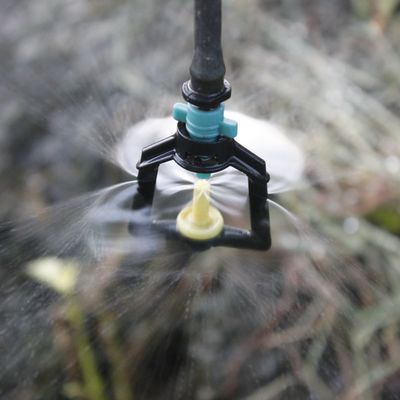 Buse d'atomisation personnalisée en plastique d'ingénierie pour les pulvérisateurs de gazon et d'agriculture