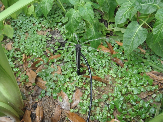 Sprinkler à liaison rayonnante/centrifuge pour une irrigation agricole cohérente dans le jardin