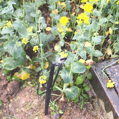 Sprinkler à réfraction pour irrigation forestière de type G 360 Micro avec régulateur de pression d'eau