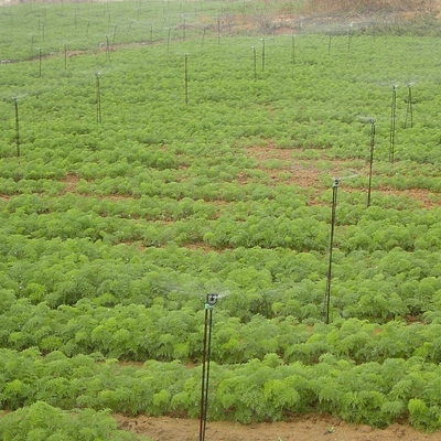 Ingénierie Plastique en position verticale Micro-arroseur rotatif pour l'irrigation agricole