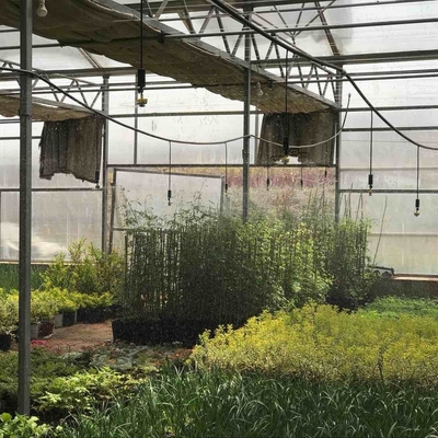 Les acheteurs commerciaux bénéficient d'une réduction sur les éclaboussures de jardinage à 360 degrés pour l'irrigation agricole