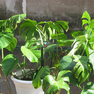Système d'irrigation par pulvérisateur d'eau agricole en position verticale avec pulvérisateur en plastique