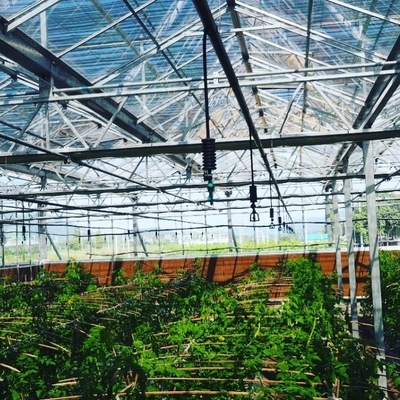 Une image montre des pièces d'irrigation pour les asperges agricoles en plastique d'ingénierie