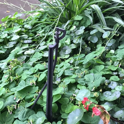 150-300 KPA Système d'irrigation par pulvérisateur d'eau agricole