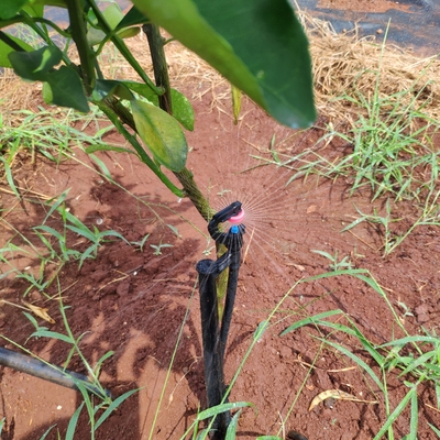 Sprinkler à réfraction à 360 degrés pour une irrigation agricole optimale 150-300 KPA
