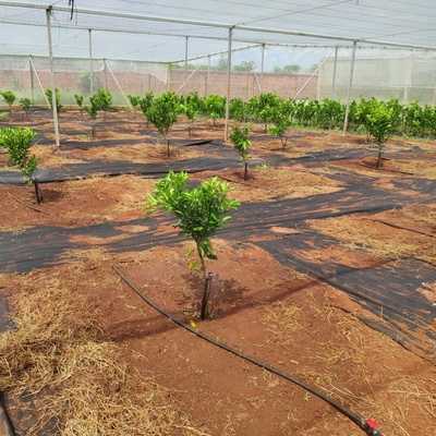 Réglage de l'eau à 360 degrés pour l'agriculture