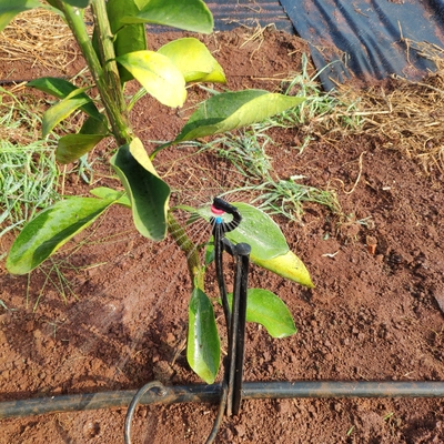 Réglage de l'eau à 360 degrés pour l'agriculture