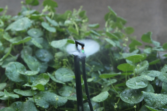 Type G Agriculture et foresterie Irrigation Micro-arroseur